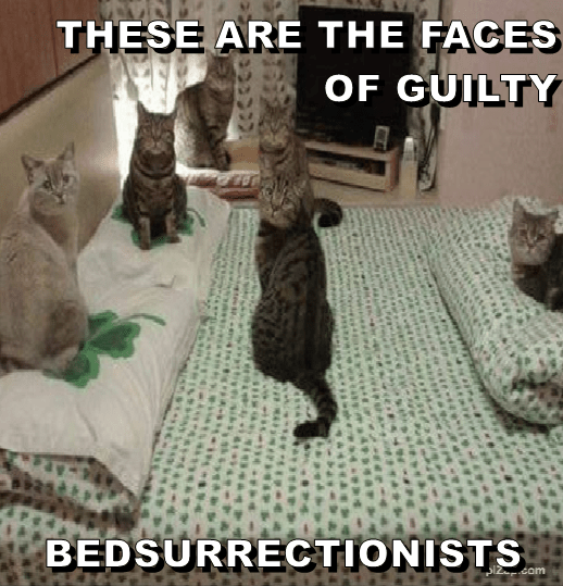 these-are-the-faces-of-guilty-bedsurrectionists