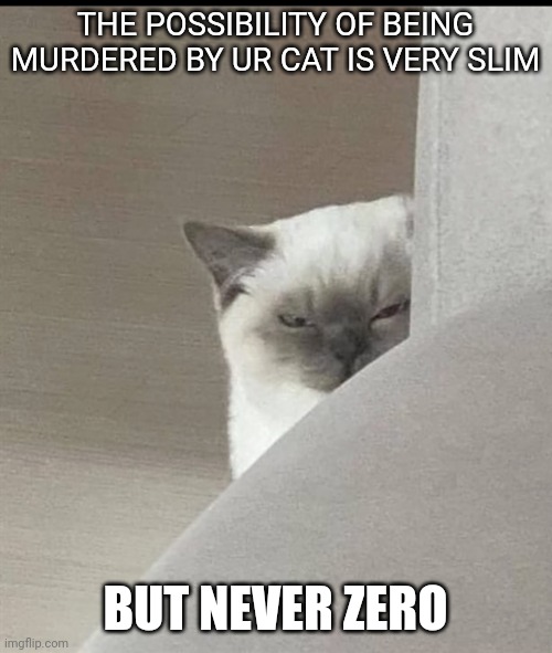 63z6yc.jpg