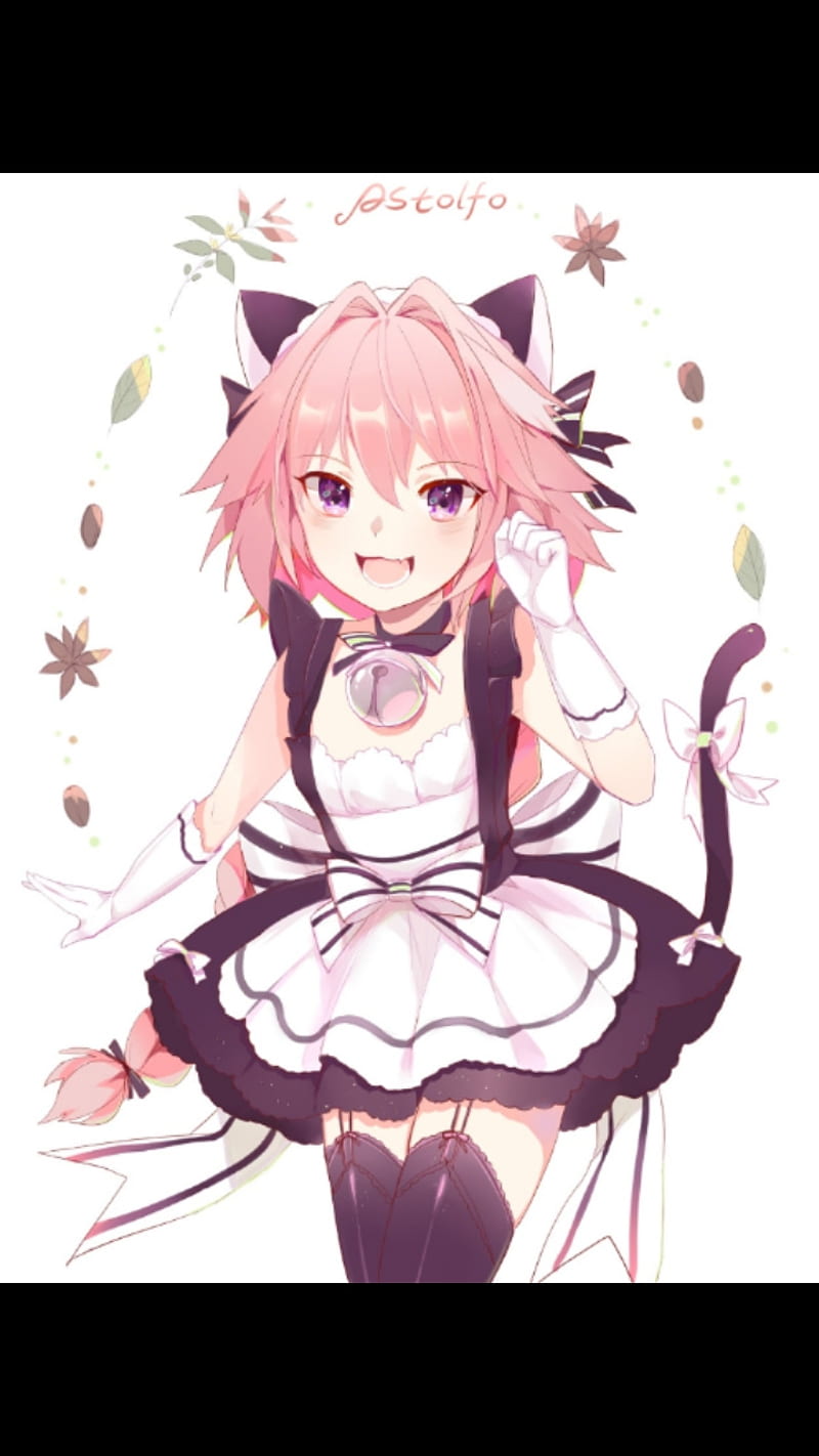 HD-wallpaper-astolfo-anime-art-cute-fate.jpg