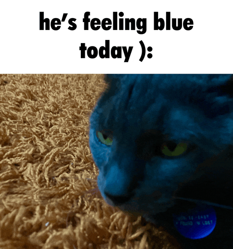 feeling-blue-sad.gif